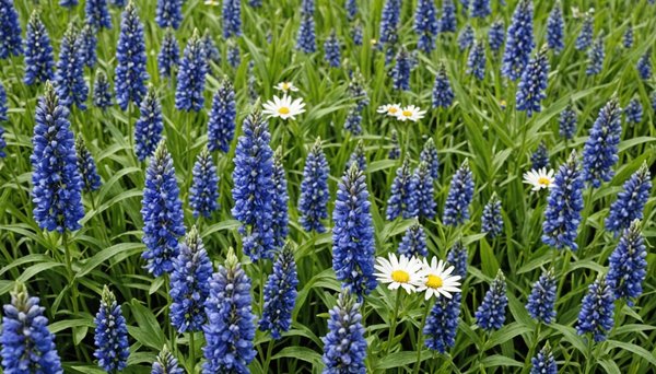 Les sujets captivants à découvrir sur le blog oh la belle bleue